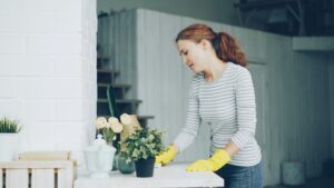 Cleaning tips